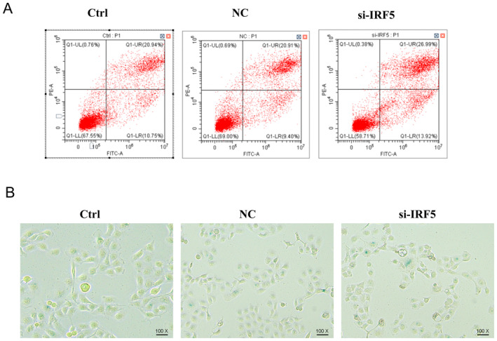 FIGURE 13