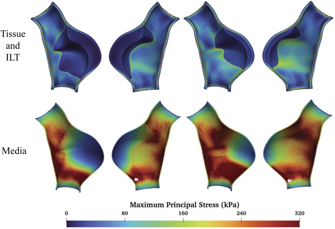 Figure 13