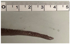 Figure 9