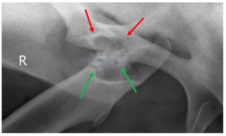 Figure 5