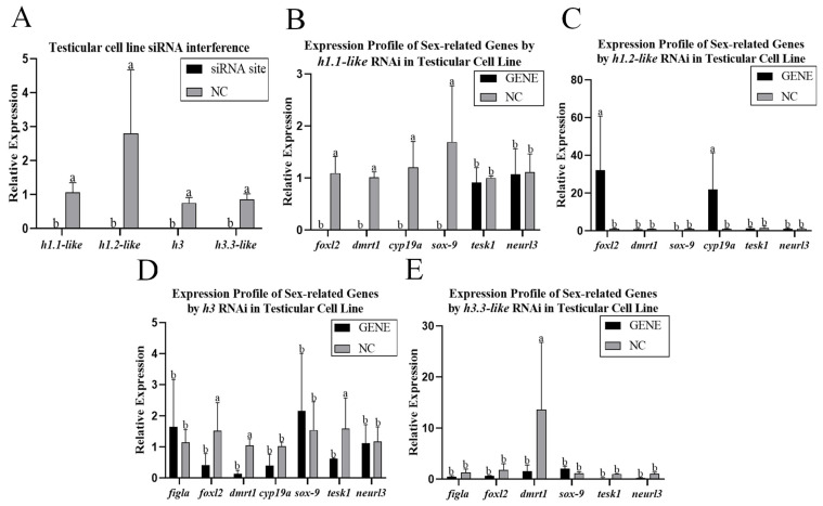 Figure 6