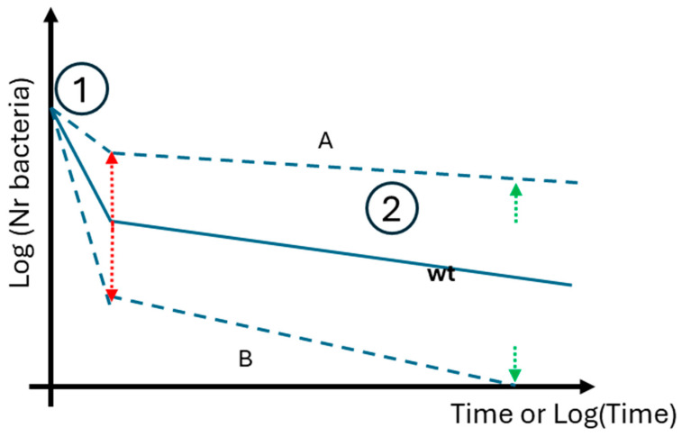 Figure 8