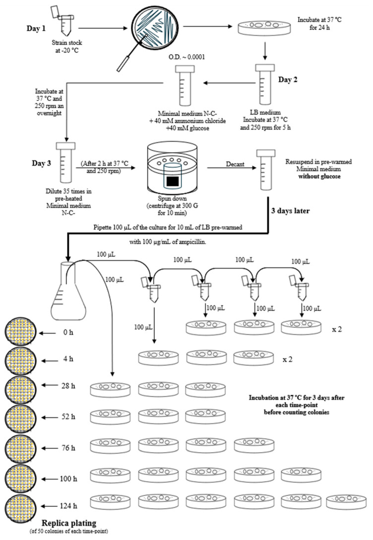 Figure 9