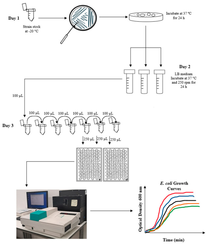 Figure 10