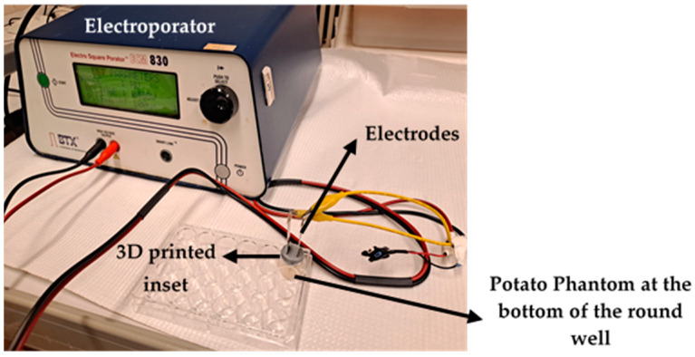 Figure 6
