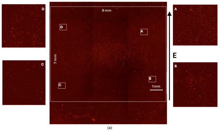Figure 16