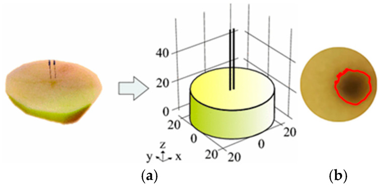 Figure 18