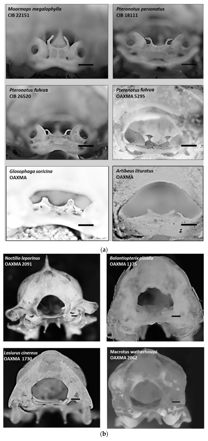 Figure 6