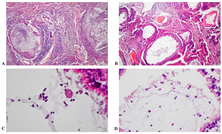 Figure 12