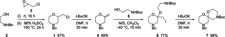 Scheme 2