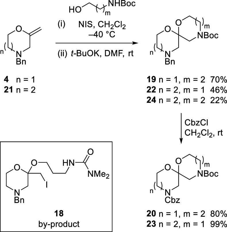 Scheme 4