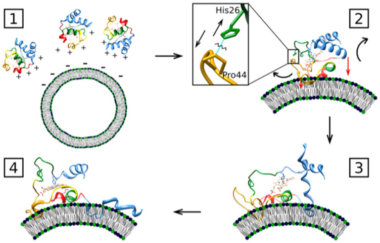 Figure 18