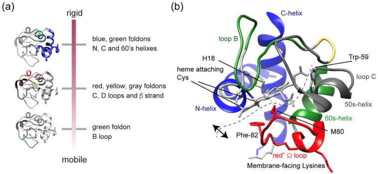 Figure 20