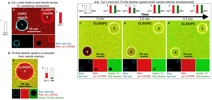 Figure 23