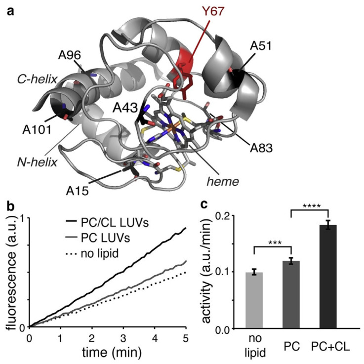 Figure 26