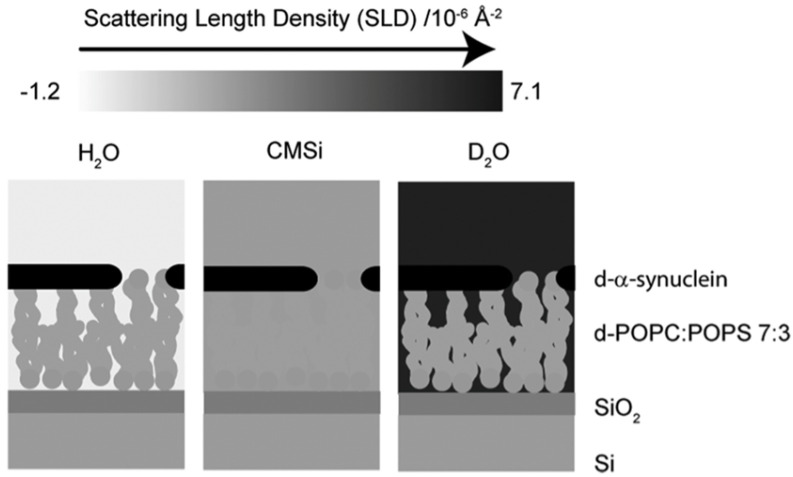 Figure 29
