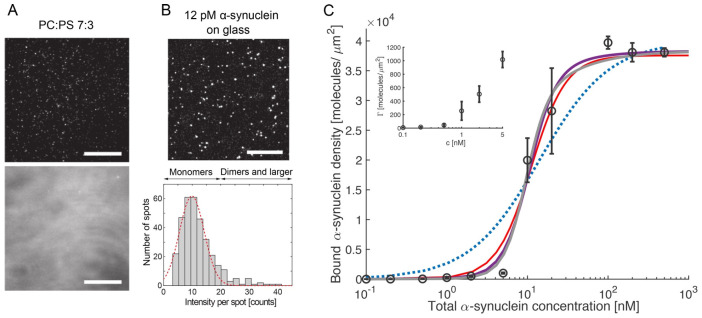 Figure 31