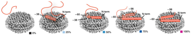 Figure 33