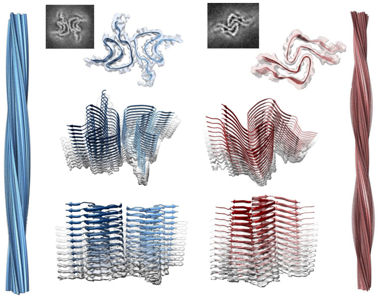 Figure 36