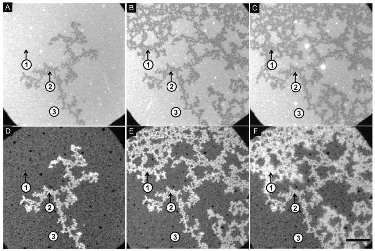 Figure 37