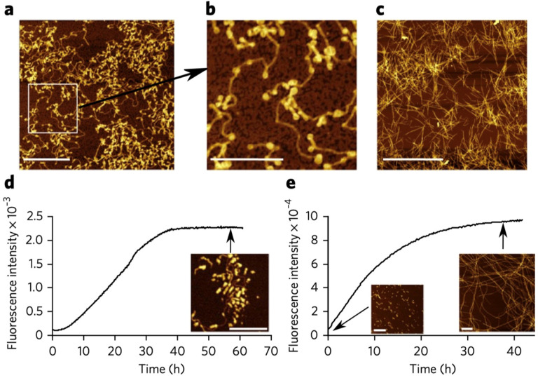 Figure 39