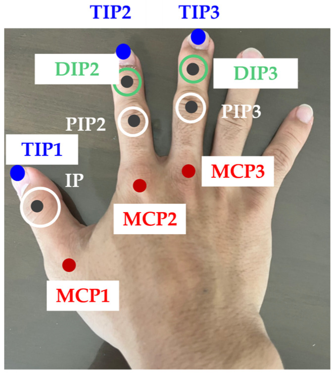 Figure 2