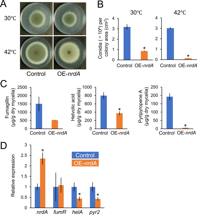 Fig 6