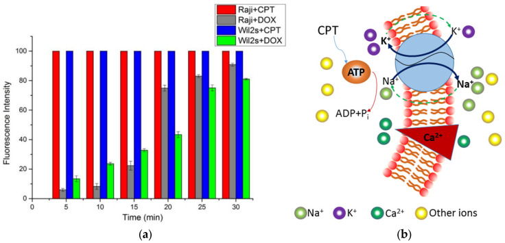 Figure 7