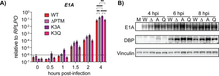 Fig 5