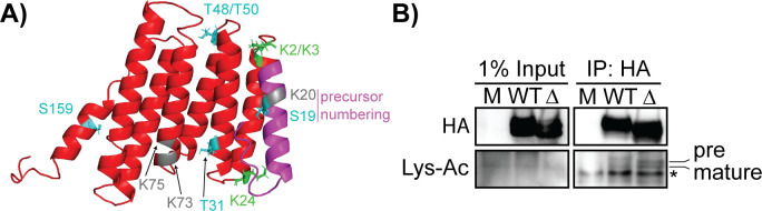 Fig 7