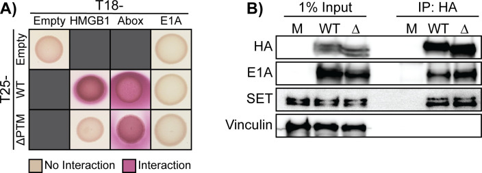 Fig 8