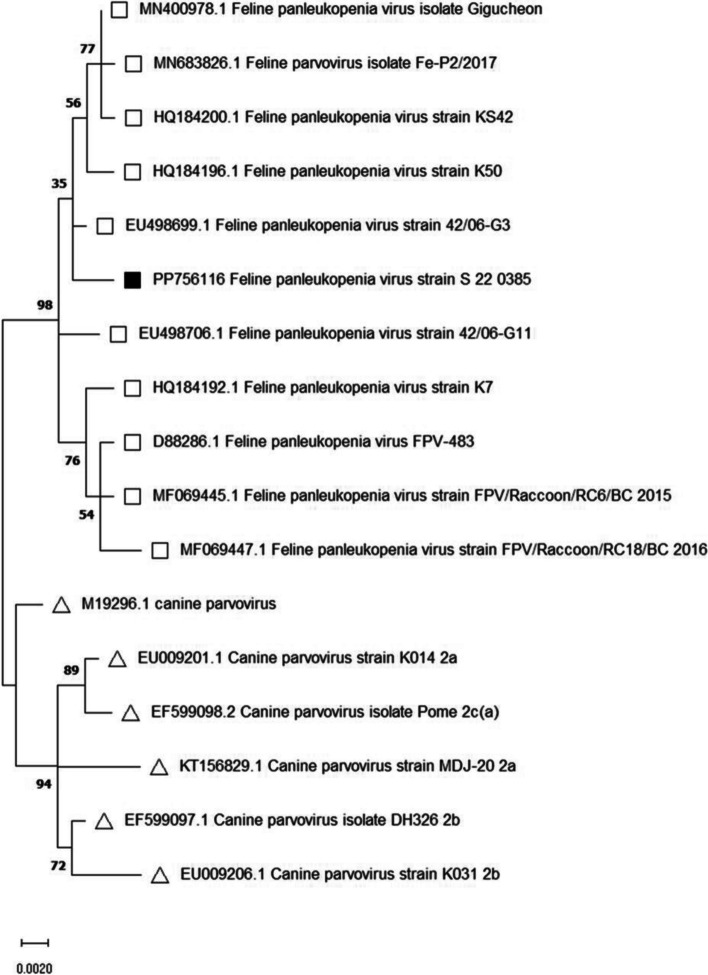 Figure 2