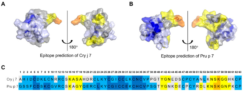 Figure 11