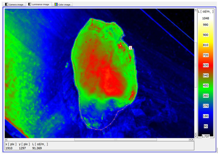 Figure 11