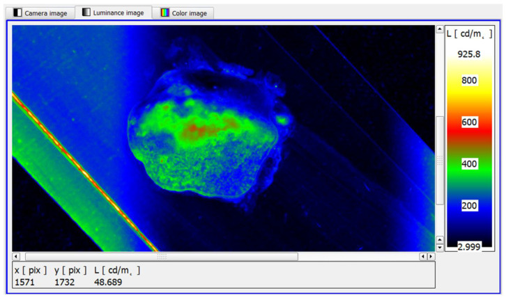 Figure 13