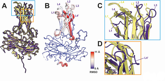 Fig 2