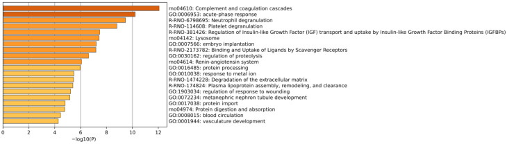 Figure 11