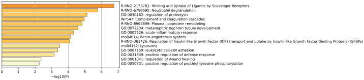 Figure 14
