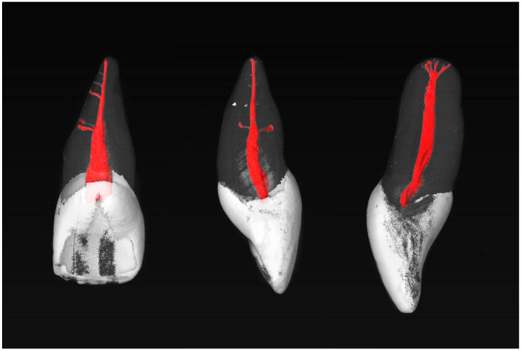 Figure 2
