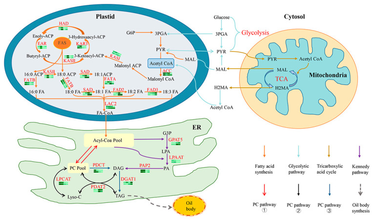 Figure 11
