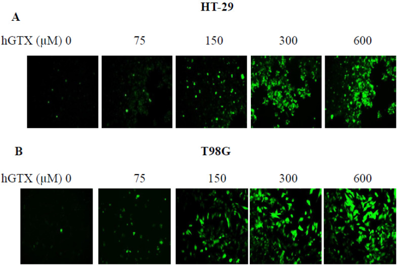 Figure 12