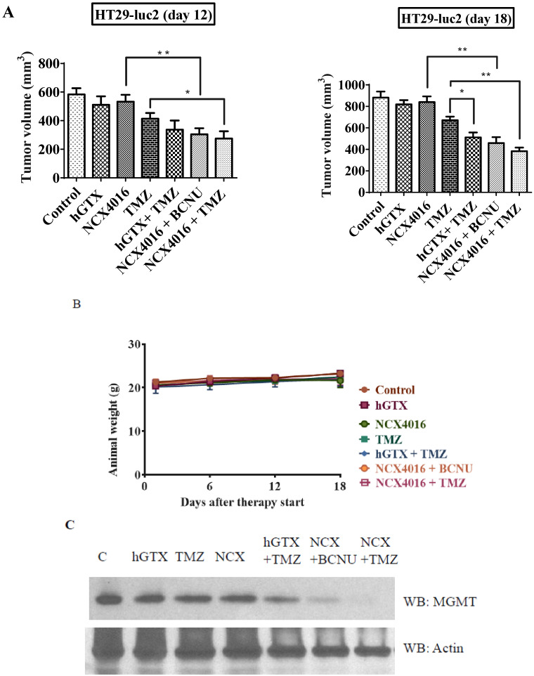 Figure 16