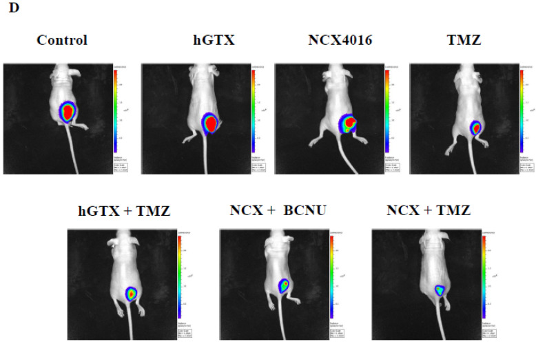 Figure 17