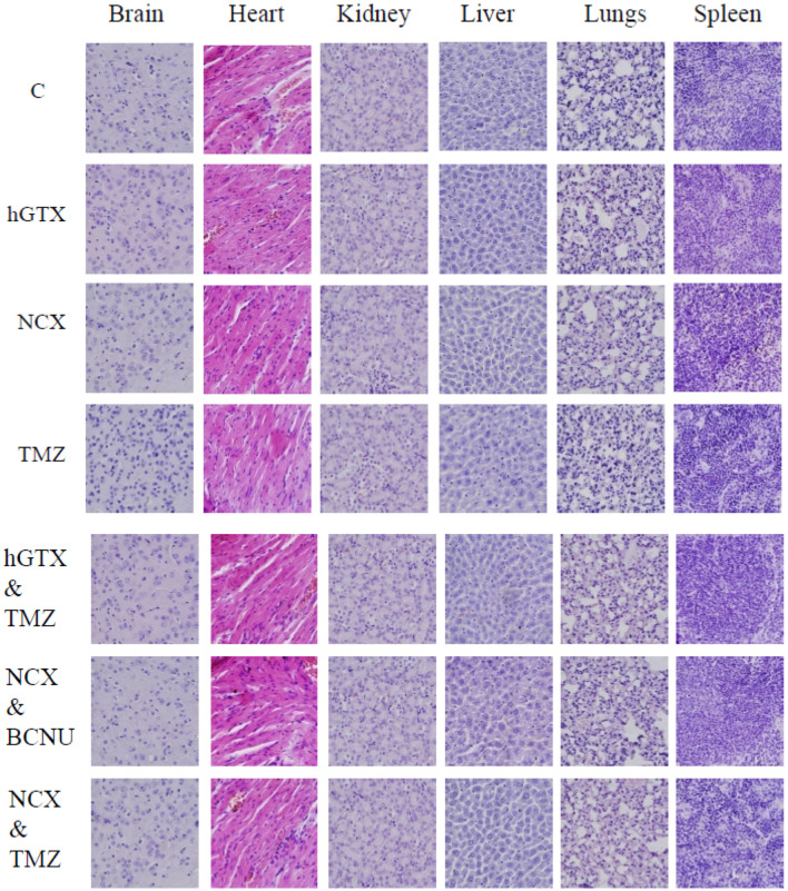 Figure 19