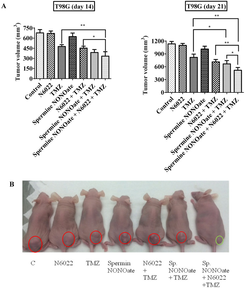 Figure 20