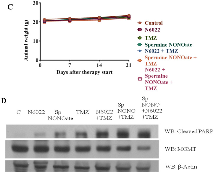 Figure 21