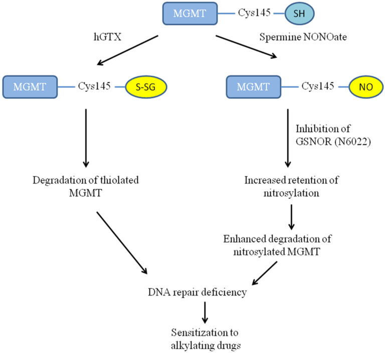 Figure 22