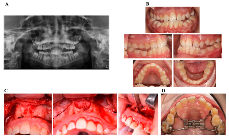 Figure 6