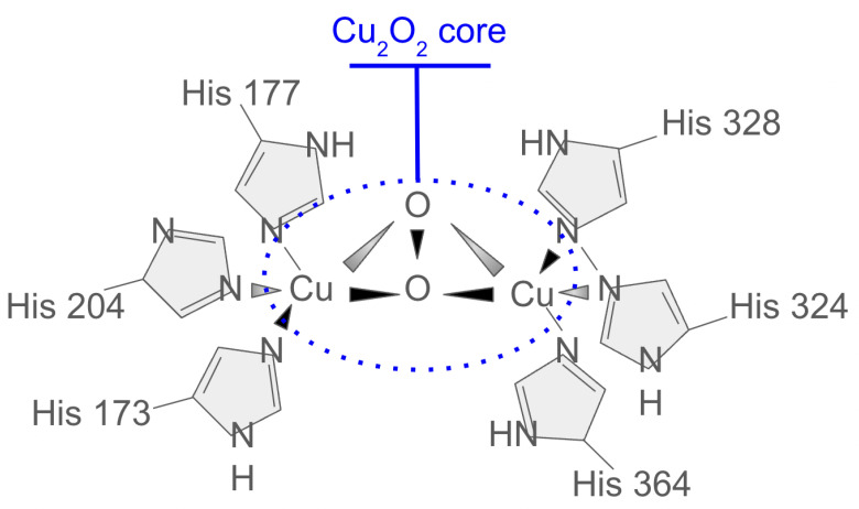 Figure 14