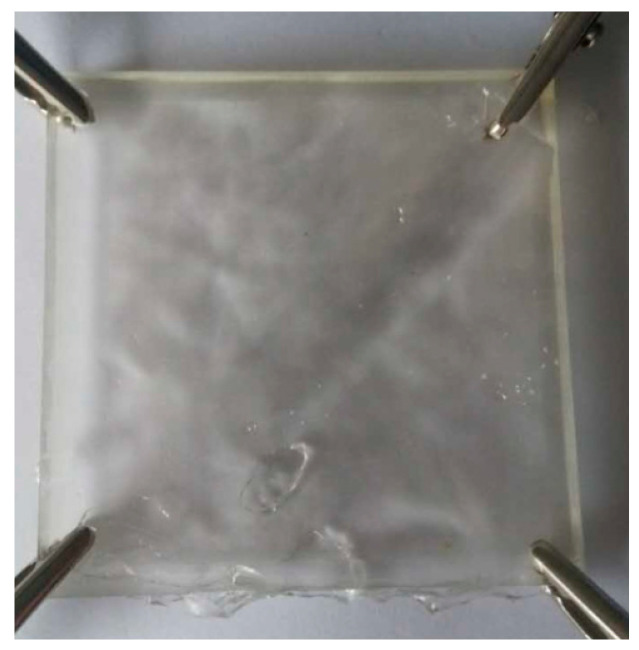 Figure 8